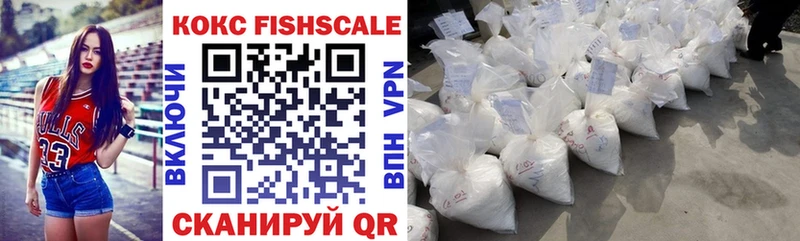 Купить закладки  Петрозаводск  Cocaine Эквадор 