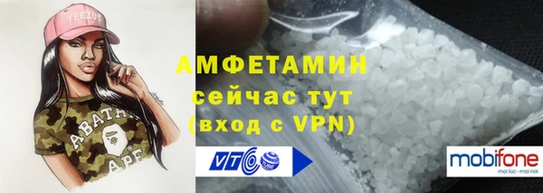 амф Инта