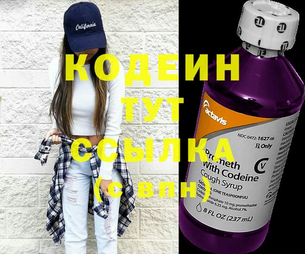 2c-b Инсар