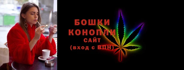 2c-b Инсар