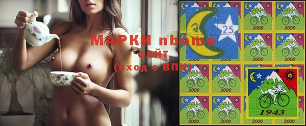 2c-b Инсар