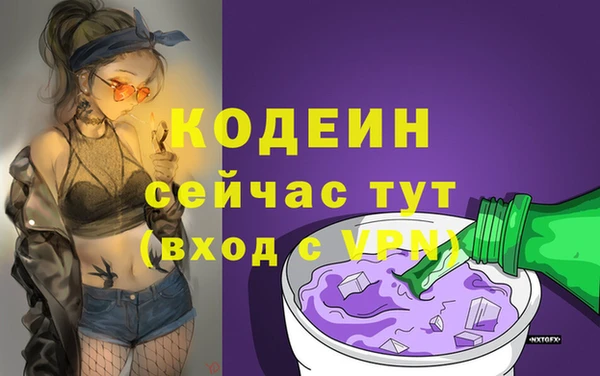 2c-b Инсар