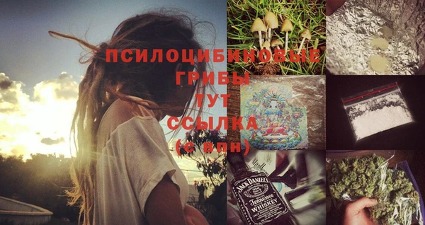 амф Инта