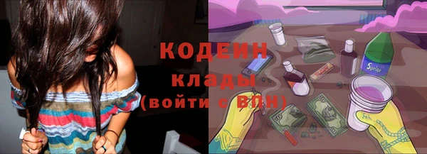2c-b Инсар