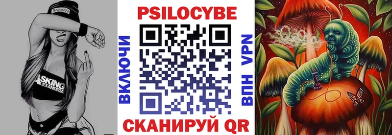 Купить где  Петрозаводск  Галлюциногенные грибы Cubensis 